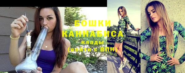 индика Касимов