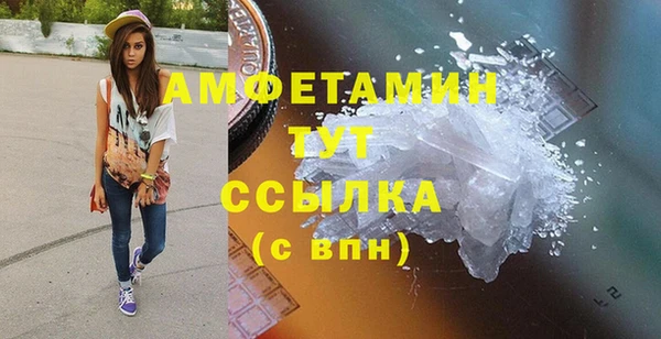 индика Касимов