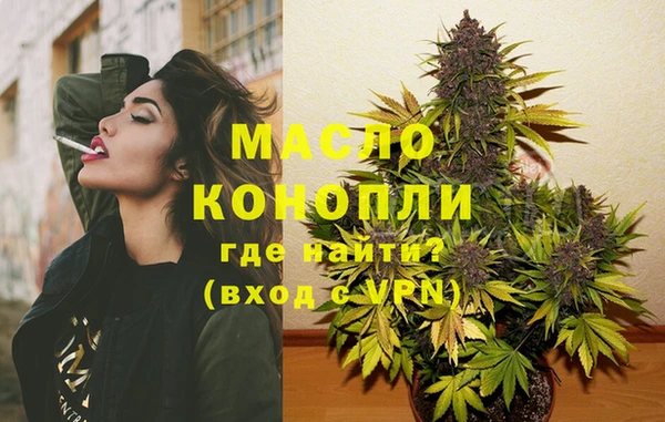 МДПВ Каменногорск
