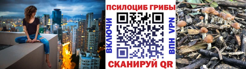 MEGA онион  Шадринск  Псилоцибиновые грибы MAGIC MUSHROOMS 